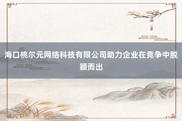 海口桃尔元网络科技有限公司助力企业在竞争中脱颖而出